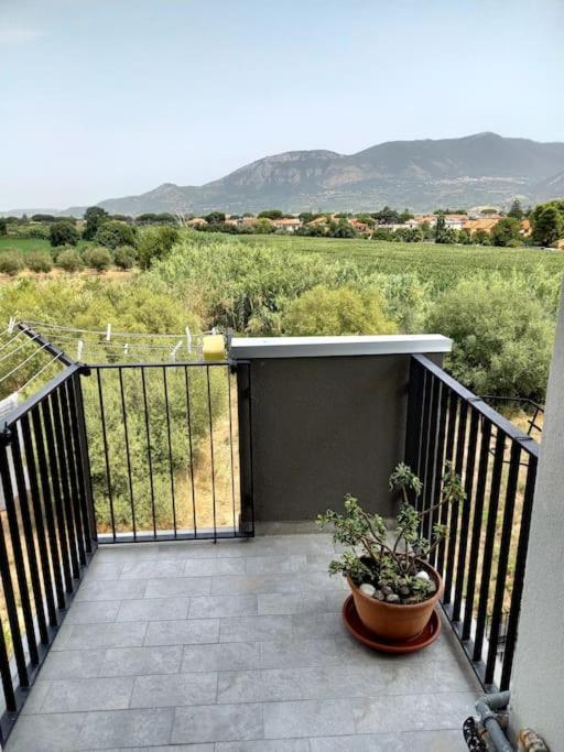 Casa Vacanze Mare Di Paestum Lejlighed Eksteriør billede